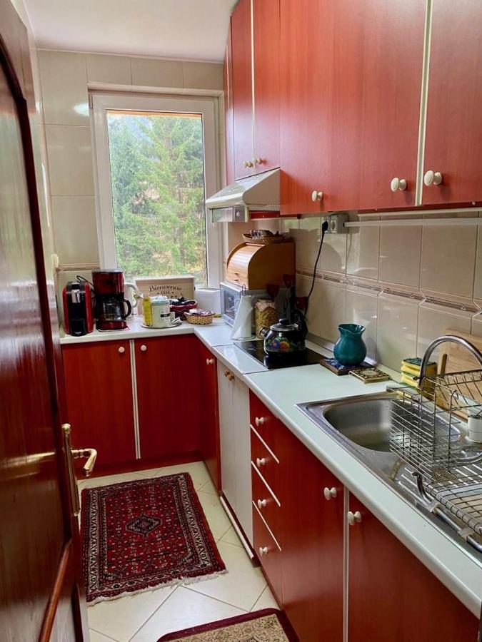 Apartament Durau Εξωτερικό φωτογραφία